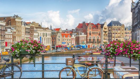 xr:d:DAFJqPZX4Fw:5,j:33158036109,t:22081808